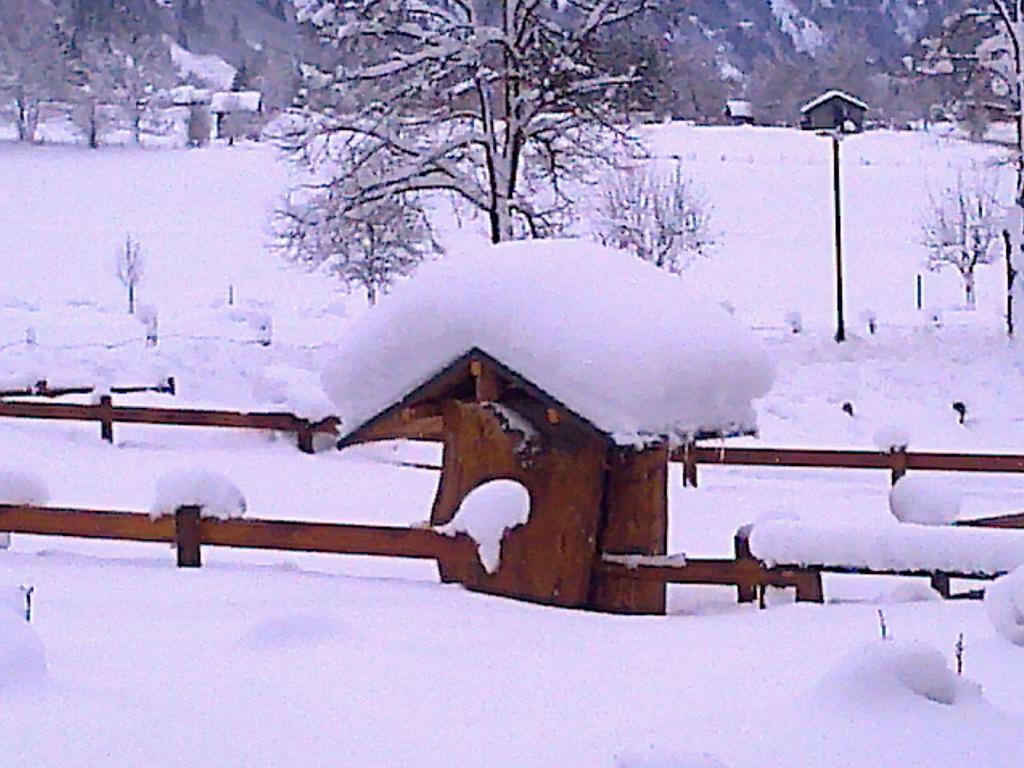 Moarbauer Villa Dorfgastein Esterno foto