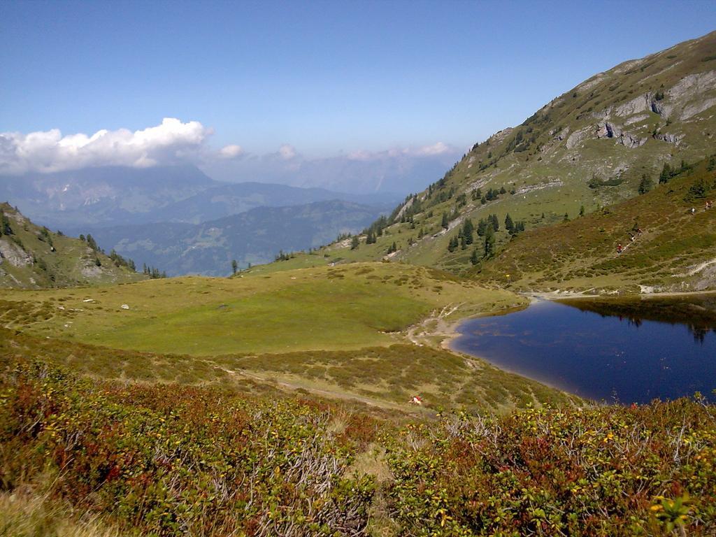 Moarbauer Villa Dorfgastein Esterno foto