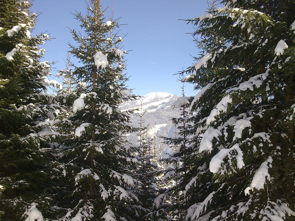 Moarbauer Villa Dorfgastein Esterno foto