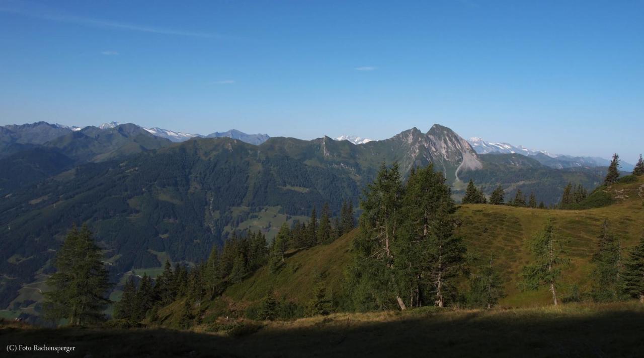 Moarbauer Villa Dorfgastein Esterno foto